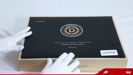Storage Grey Board Paper Printing Packaging Gift Box (with Brochures) 