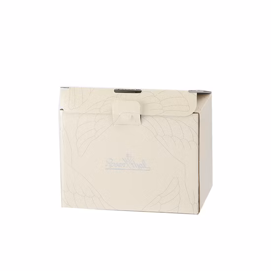 Custom Printed Color Corrugated Cardboard Paper Clothes Shoe Wine Cosmetic Mailing Mailer Delivery Shipping Product Folding Gift Packing Packaging Carton Box